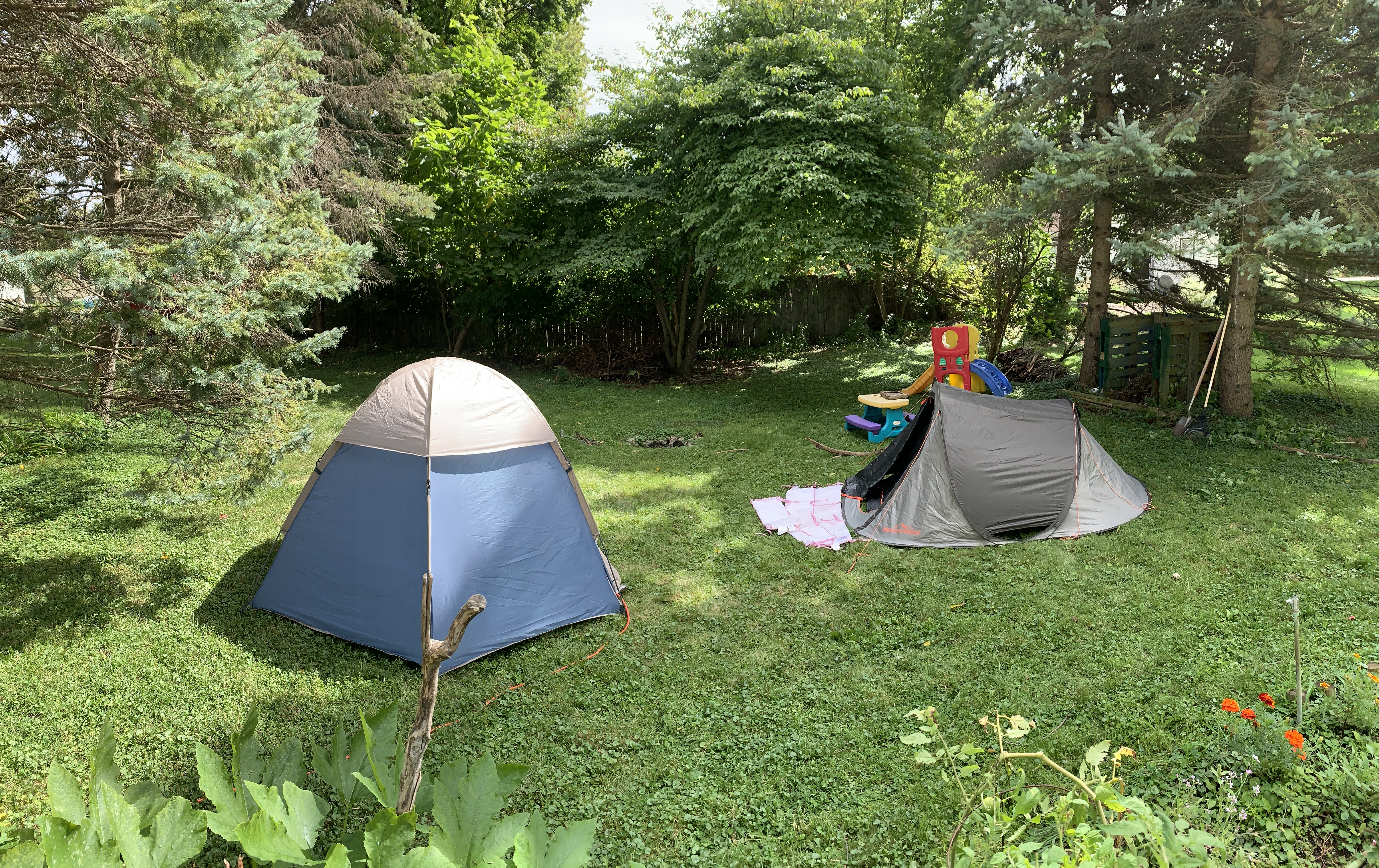 Backyard Camping 2024